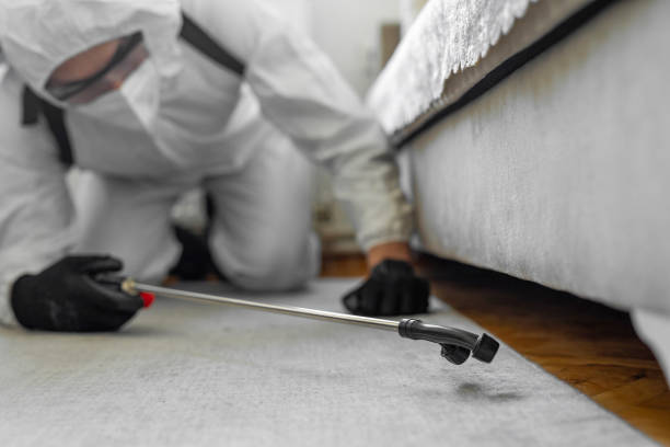 Professional Bed Bug Control technician working in Albany County County, WY